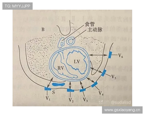 一分钟看懂八秒违例如何判定，让你不再为发球超时而困惑