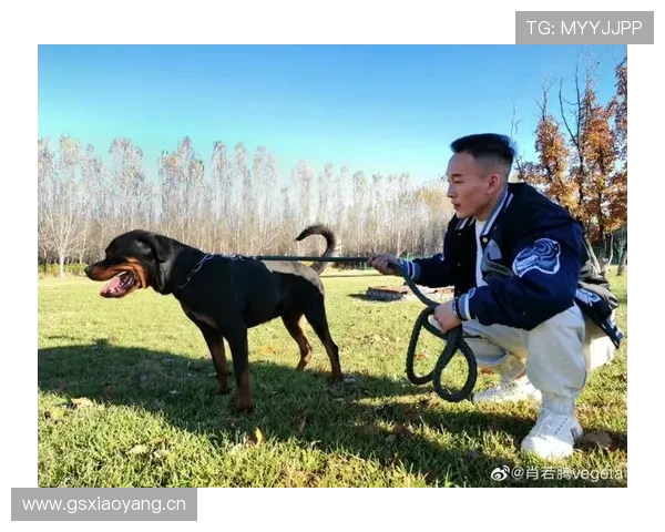 肖若腾随手把训练包扔后座，护膝都能买我一套房，我笑不出来
